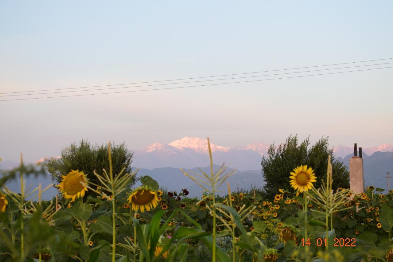 Villa Mendotza Lujan de Cuyo ภายนอก รูปภาพ