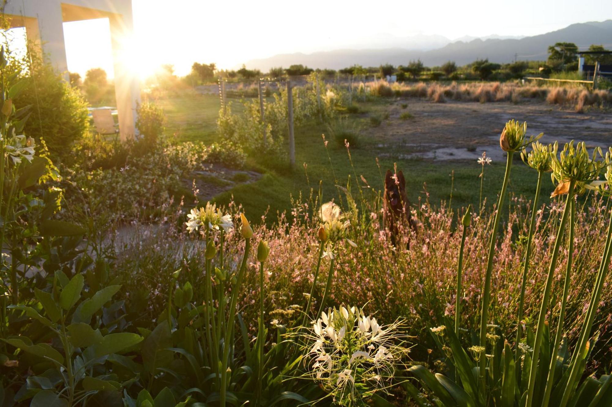 Villa Mendotza Lujan de Cuyo ภายนอก รูปภาพ